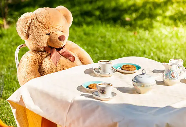 Photo of teddy bear sitting at yard and having english breakfast
