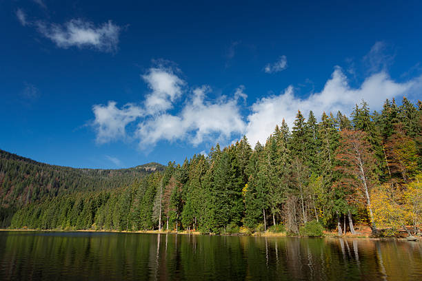 istock Lake Arber in Bavaria, Germany during Fall. (Grosser Arbersee) 522032085