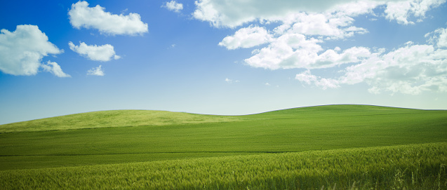 Landscape of green grassy hills in Western Australian farm land.