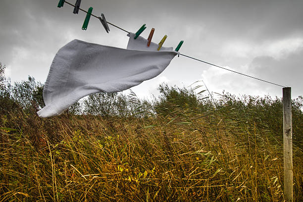 toallas de secado en windy irlandés bog - white mid air rain wind fotografías e imágenes de stock