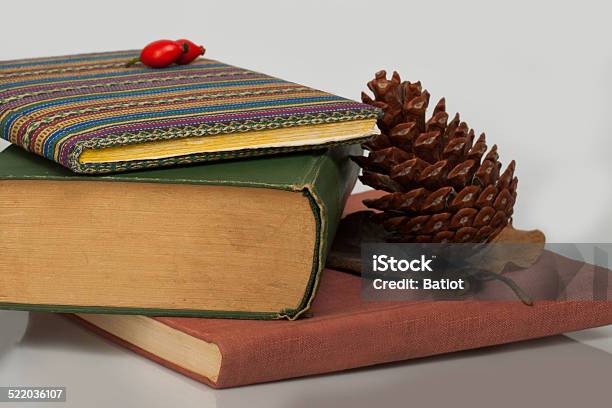 Three Messy Books Stock Photo - Download Image Now - Autumn, Autumn Leaf Color, Book