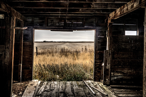 Horizontal image taken from inside old, abandoned barn looking outside into a farm field.  The old, weathered and dark wood of the barn frames th opening to the outside.  There is a contrast between the darkness inside the barn and the light of outside.