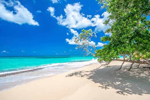 Paradise beach Playa Rincon, considered one of the 10 top beaches in Caribbean, Dominican Republic, near Las Galeras