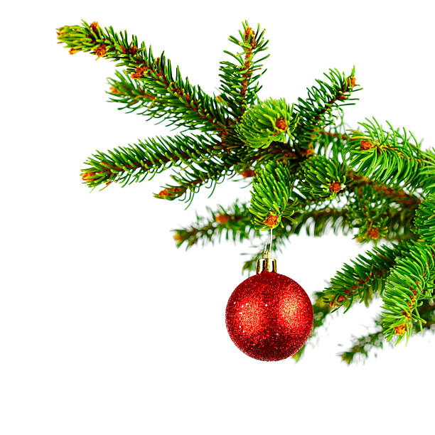 istock Decorative ball on fir branch 522037121