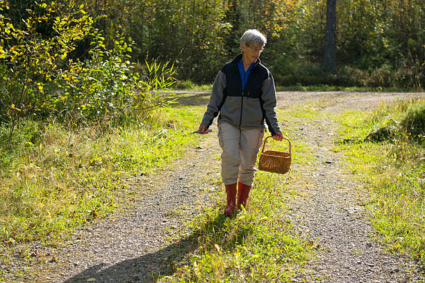 istock Woman looking for mushrooms, basket in hand 522051177