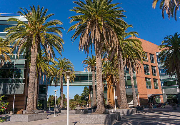 внешний вид googleplex google корпоративной штаб-квартиры. - mountain view стоковые фото и изображения