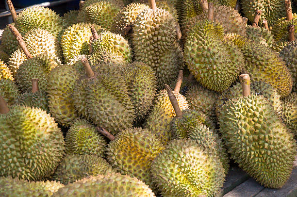 istock Durians, King of Fruits 522052995