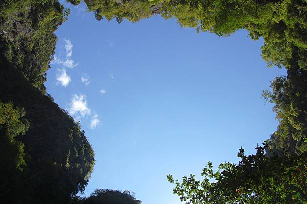 istock Emerald Cave, Koh Mook island - Thailand 522054457