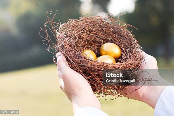 Hands Out Golden Eggs And Nest Stock Photo - Download Image Now - Animal Egg, Animal Nest, Bird