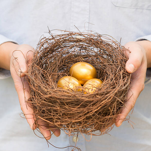 istock hands out golden eggs and  nest 522054585