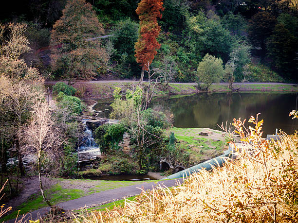 istock Autumnal woodland and waterfall 522054633