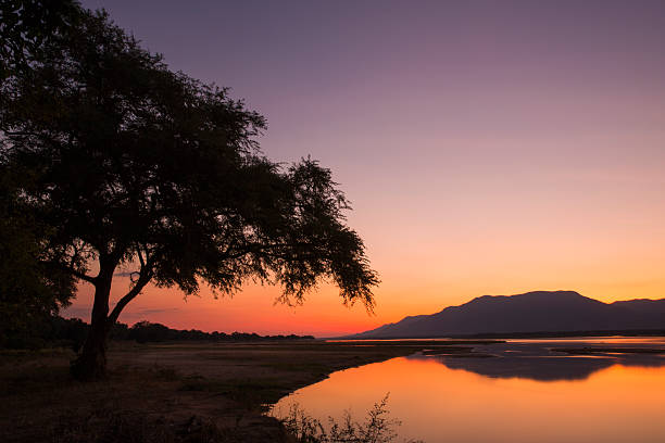 coucher de soleil sur le fleuve zambèze - réseau mondial de réserves de biosphère photos et images de collection