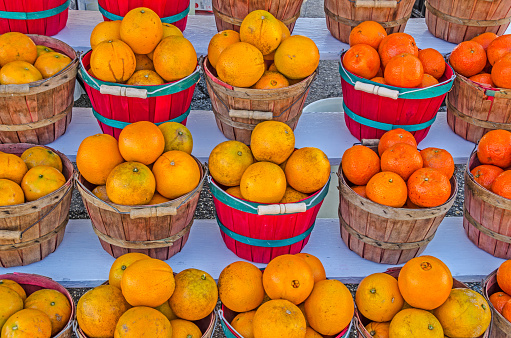 Red and brown baskets overflowing with Honeybell Oranges from Florida nicely displayed along a street