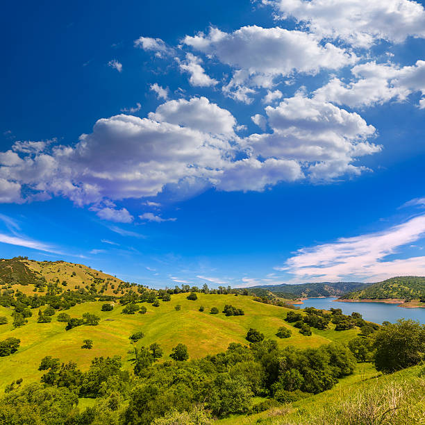 California meadows hill and lake in a blue sky spring day USA