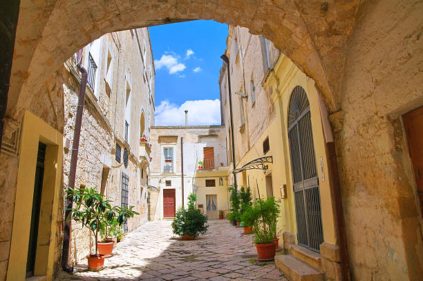 istock Alleyway. Altamura. Puglia. Italy. 522058249