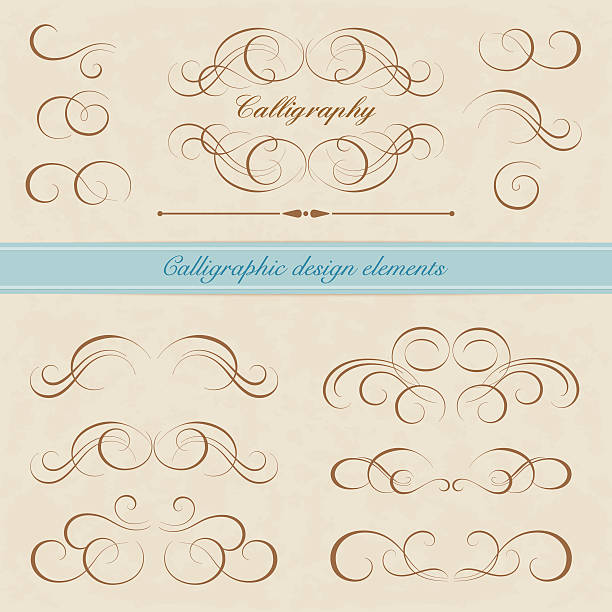 Calligraphic design elements vector art illustration