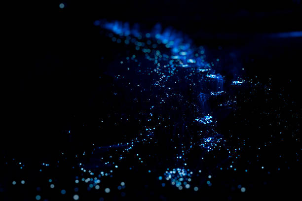 Bio luminescence. Illumination of plankton at Maldives. Illumination of plankton at Maldives. Many particles at black background. bioluminescence water stock pictures, royalty-free photos & images