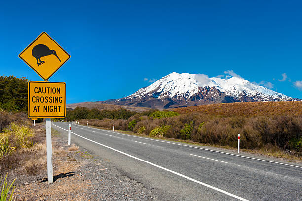 Kiwi and mount Ruapehu Kiwi sign near the road leading to the volcano Mt. Ruapehu, national park Tongariro. New Zealand. tongariro national park photos stock pictures, royalty-free photos & images