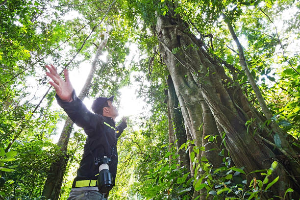 istock Guid in the jungle, in Thailand 522093713