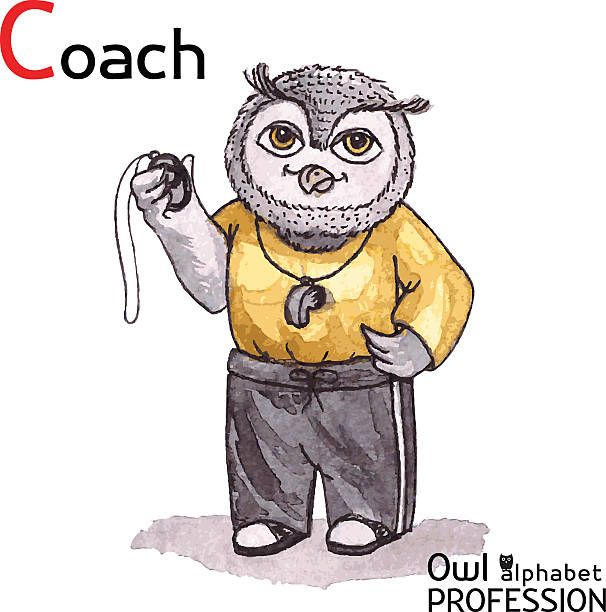 illustrations, cliparts, dessins animés et icônes de alphabet de vecteur lettre professions duc c-coach aquarelle traditionnelle. - sports car