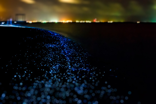 Illumination of plankton at Maldives. Many particles at black background.