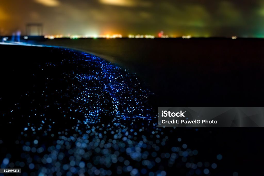 Bio luminescence. Illumination of plankton at Maldives. Illumination of plankton at Maldives. Many particles at black background. Bioluminescence Stock Photo