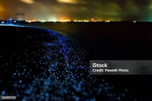 Bio Luminescence Illumination Of Plankton At Maldives Stock Photo - Download Image Now