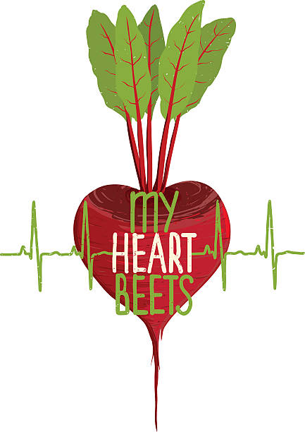 ilustrações, clipart, desenhos animados e ícones de beterraba coração forma motivacionais conceito de dieta de legumes - human heart red vector illustration and painting