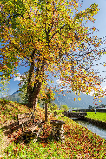 istock Autumnal park in the mountains 522112387