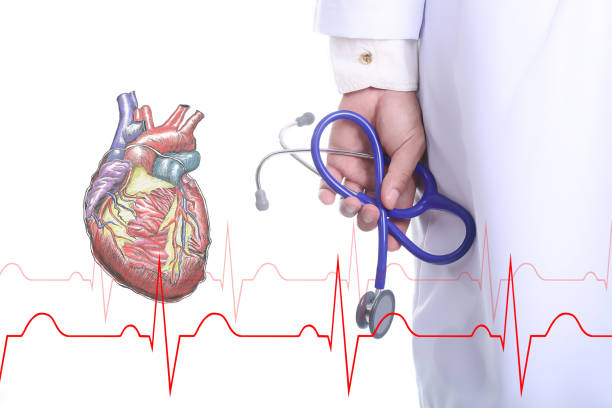 Medical doctor checking your healthy concept in hospital