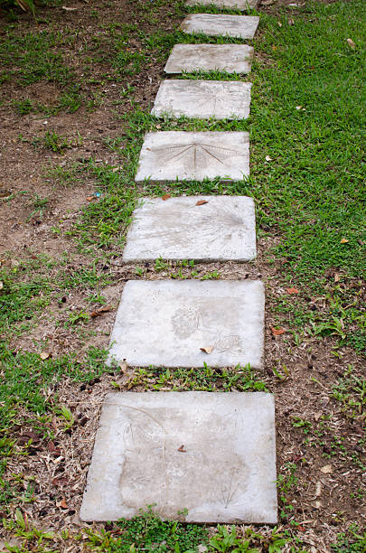 istock Walk way in the garden 522115563