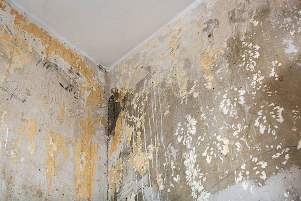 istock corner of the room before renovation 522121220