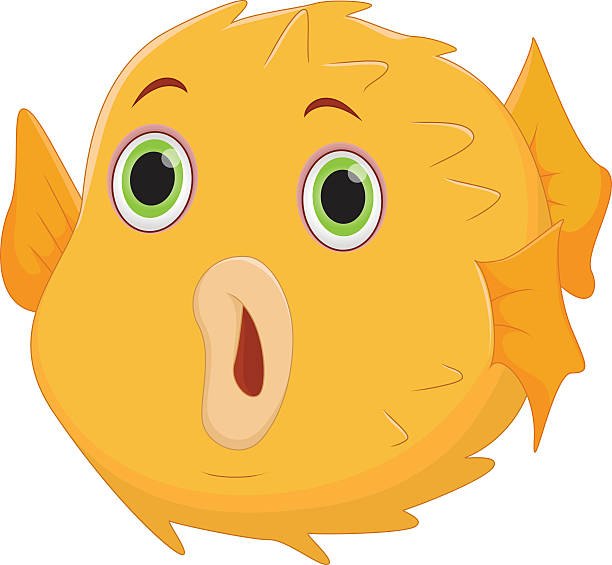Stupid Fish Icon 110+ Stupid Fish Illustrations, Royalty-Free Vector Graphics & Clip Art ...