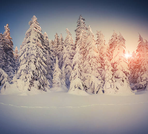istock Beautiful winter sunrise in the mountains. 522127847