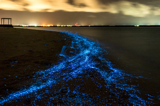 Bio luminescence. Illumination of plankton at Maldives.