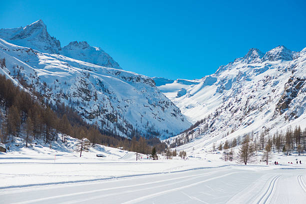 istock Cross country ski tracks 522130669