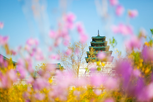 Gyeongbokgung palace in Spring, Seoul, Korea