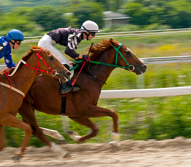 istock Horse racing  in Pyatigorsk 522132198
