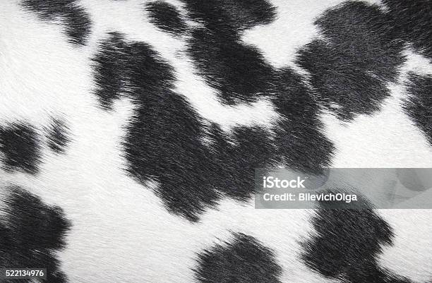 Photo libre de droit de Dalmatien Motif À Pois Noir Et Blanc De Texture banque d'images et plus d'images libres de droit de Chien - Chien, Poils d'un animal, Texture