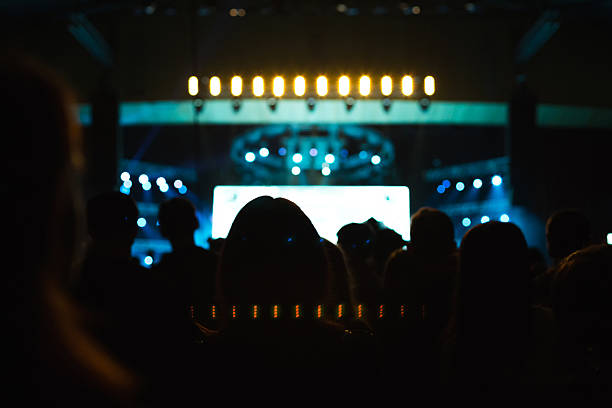 istock Spectators at the concert. 522137078