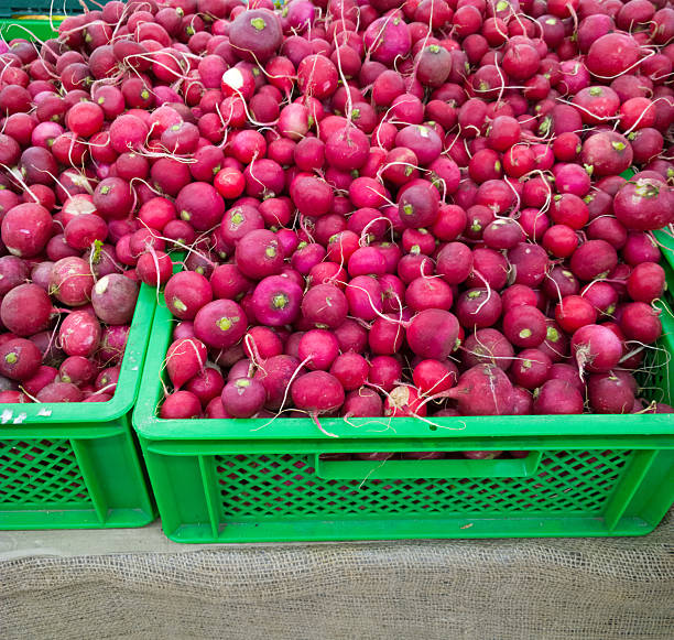 Radishes at the supermarket.