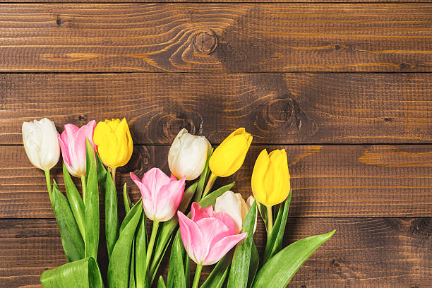 istock Bouquet Of Tulips In Front 522139754