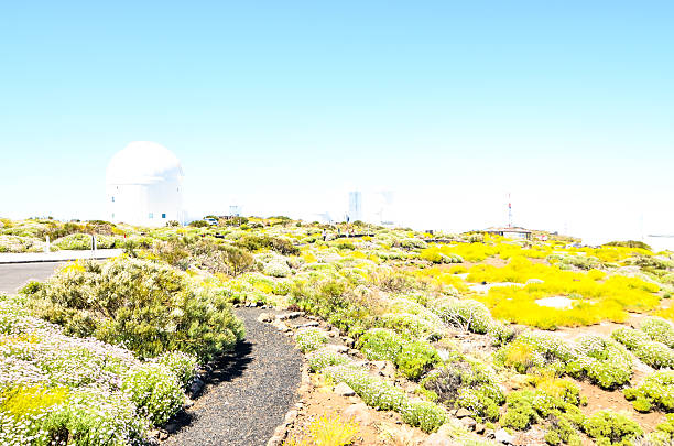 Telescopes of the Teide Astronomical Observatory Telescopes of the Teide Astronomical Observatory in Tenerife, Spain. observatory tenerife canary islands el teide national park stock pictures, royalty-free photos & images