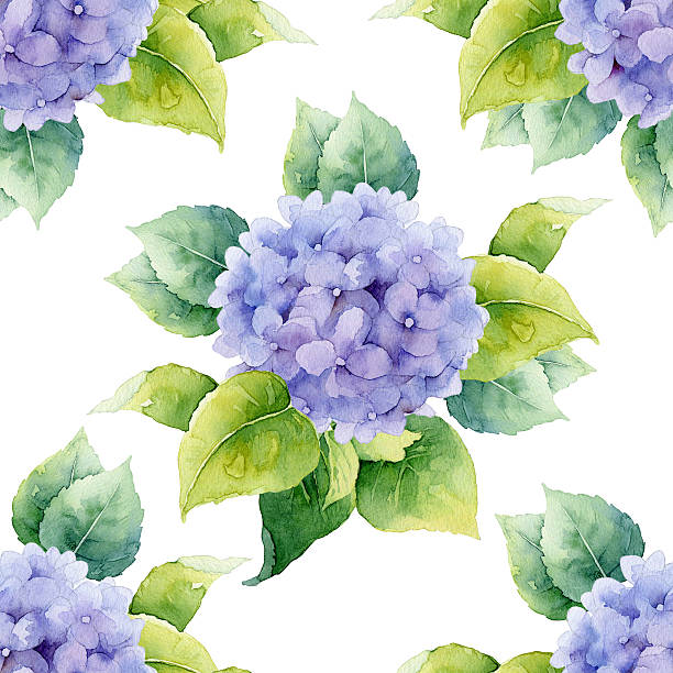 бесшовный цветочный узор с hydrangeas - hortense stock illustrations