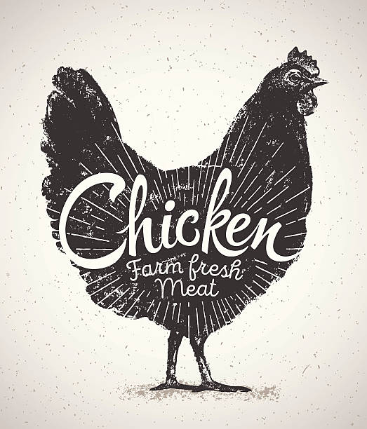 illustrazioni stock, clip art, cartoni animati e icone di tendenza di grafica sagoma di pollo. - animal leg