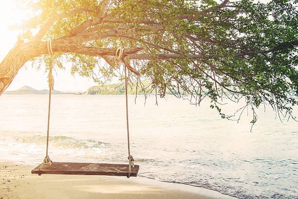istock Swing hanging on tree on the island, with bright sunlight 522143602