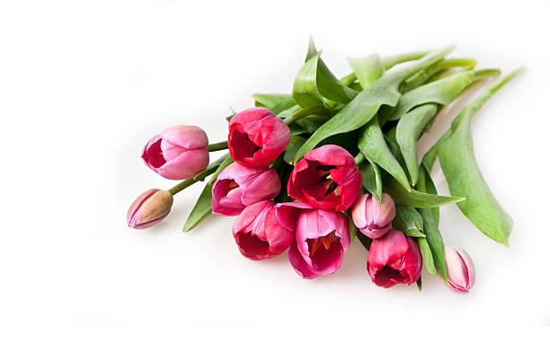 istock bouquet of  tulips 522144438