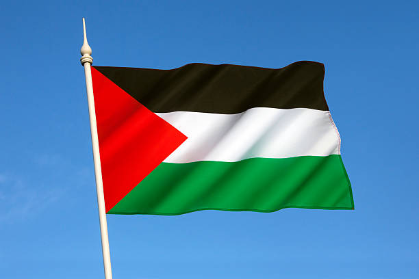 istock Flag of Palestinian 522145634