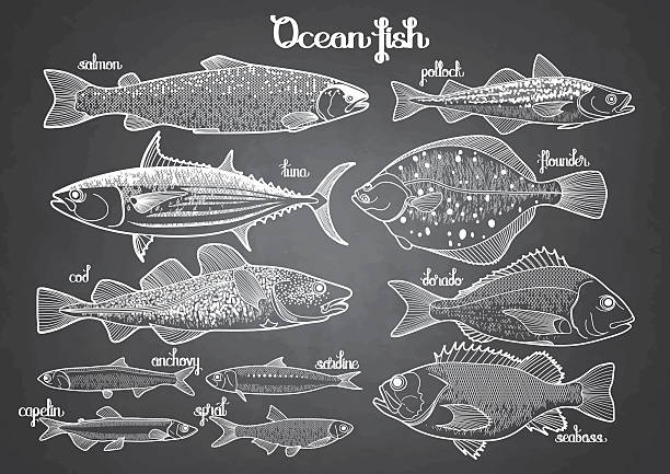 grafik meer fische sammlung - black bass stock-grafiken, -clipart, -cartoons und -symbole