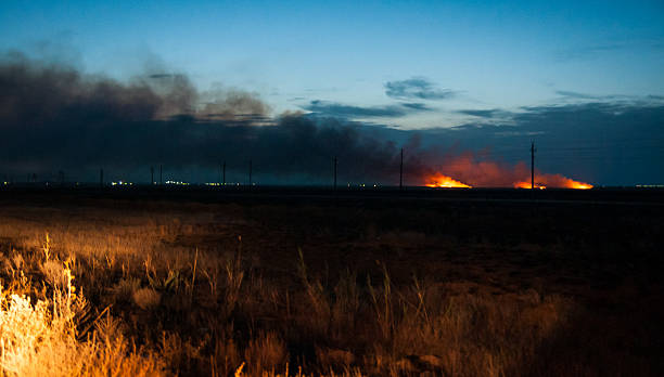 istock Fire in the steppes near the river Akhtuba, Russia 522149461